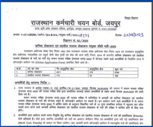 Download RSMSSB Junior And Tehsil Revenue Accountant Bharti 2023 Official Notification